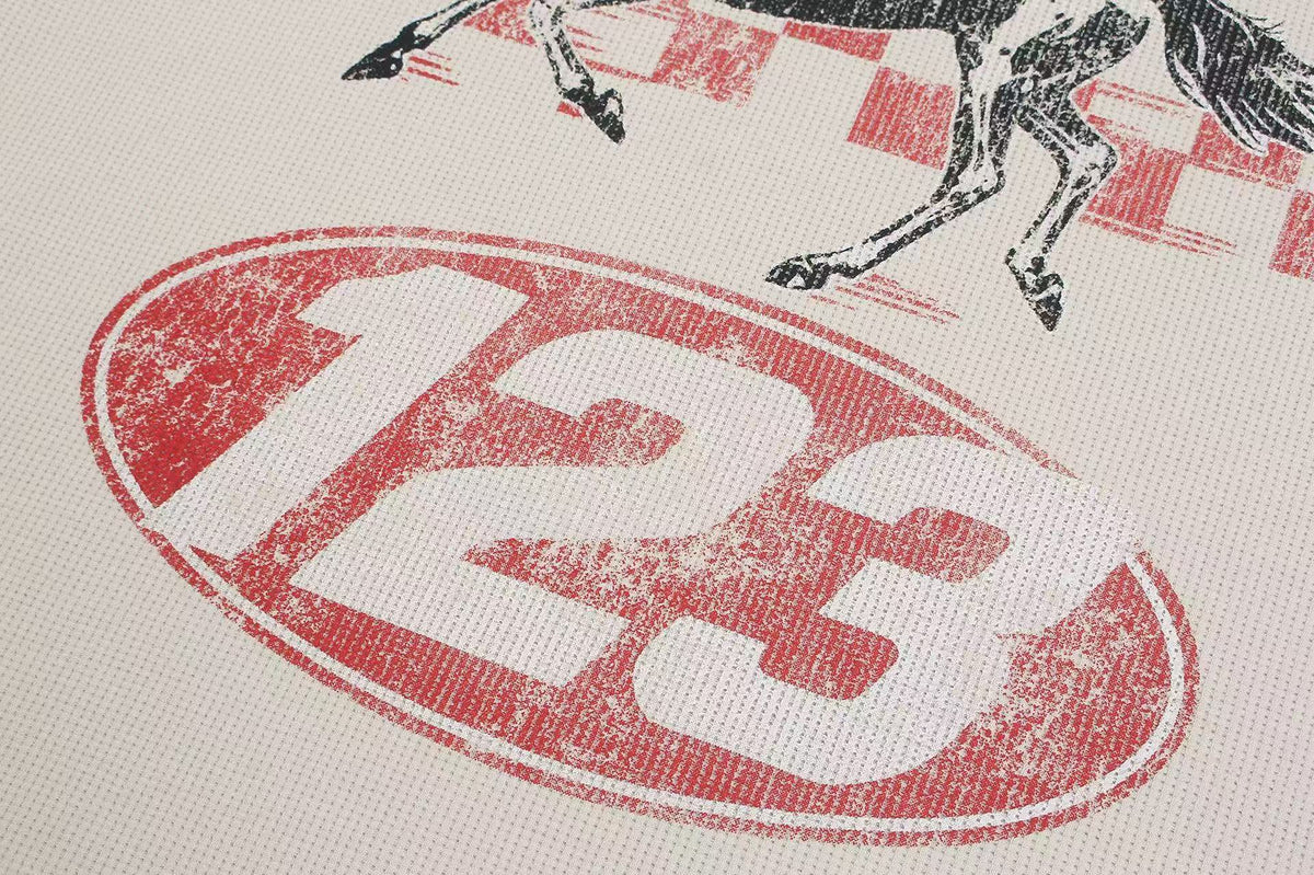 Color Block Skeleton Horse Racing Graphic Waffle Knit Long Sleeve